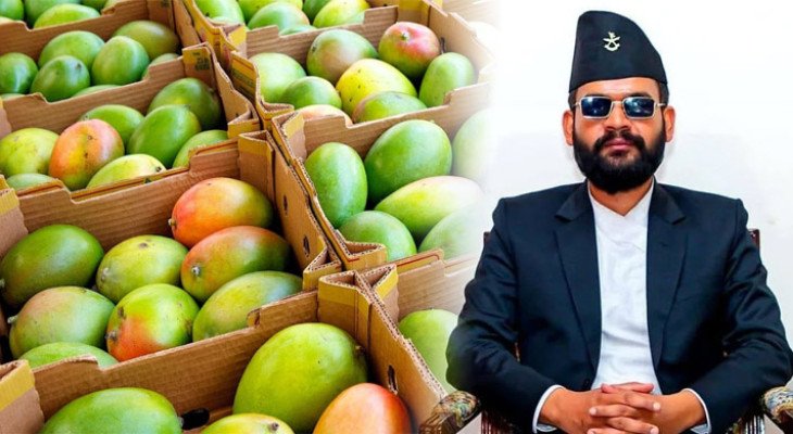 অতিরিক্ত মাত্রায় রাসায়নিক: ভারতীয় আমে নিষেধাজ্ঞা দিলো নেপালের সরকার